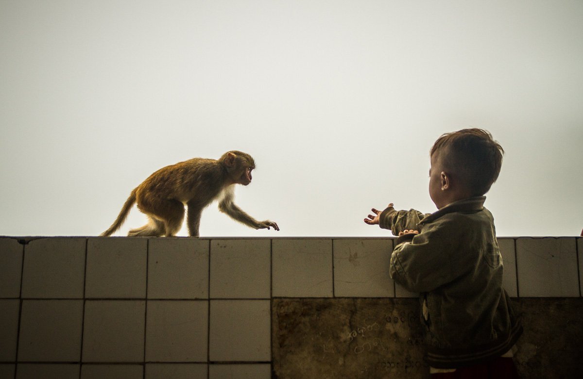 Bagan-35