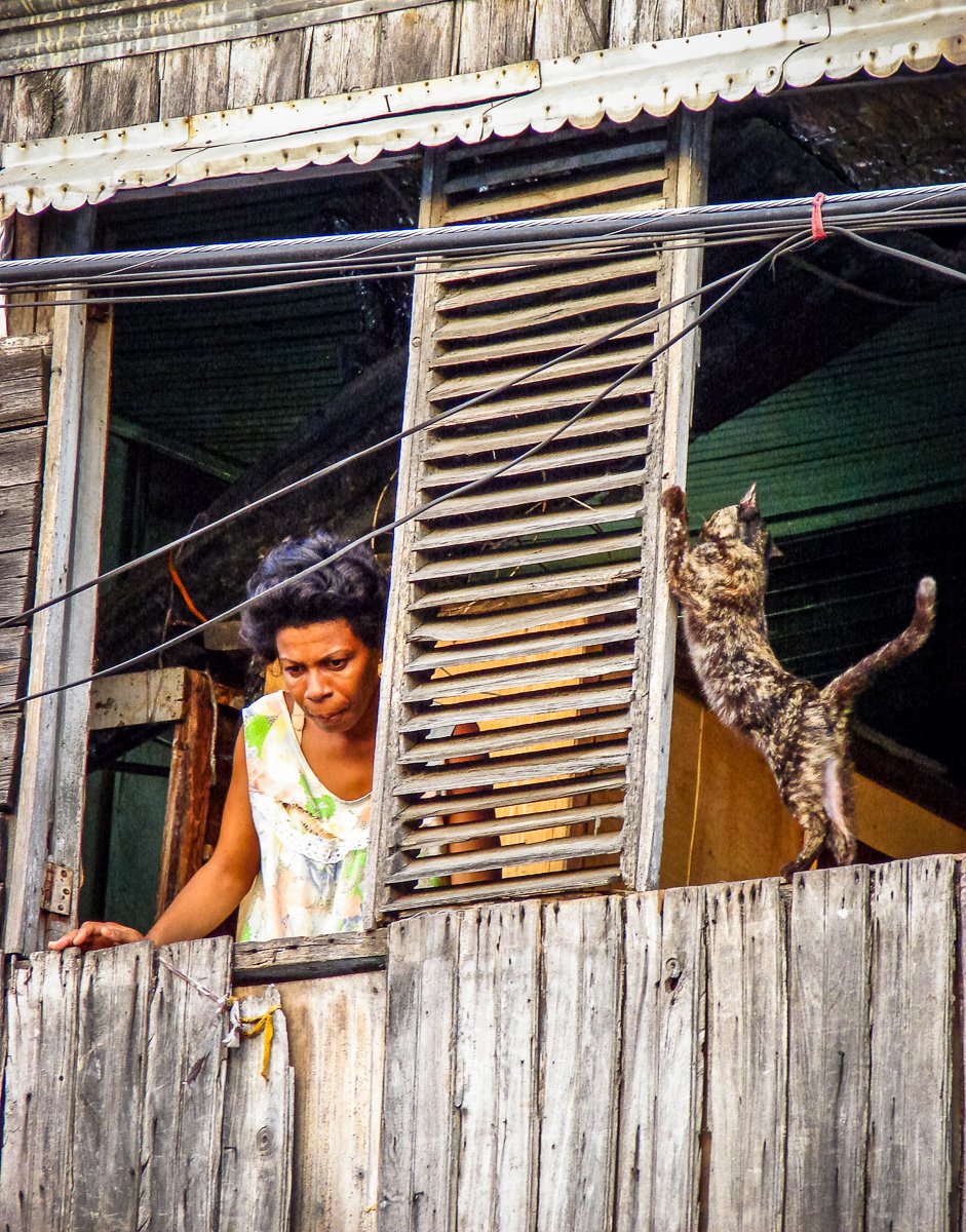 Cat and Cuba