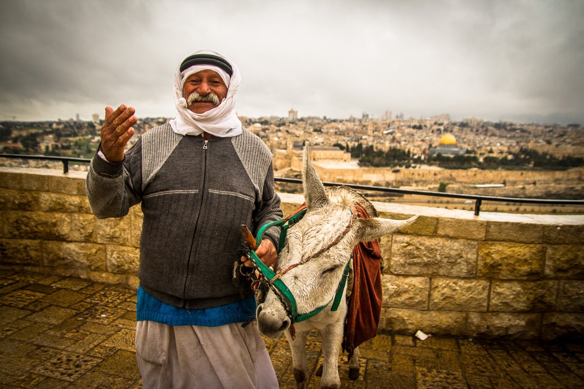 A view onto Jerusalem A Shepherd with a donkey