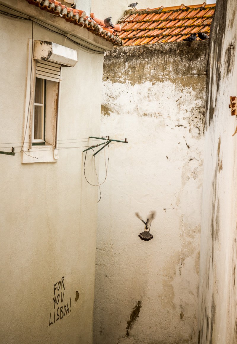 Lisboa for you