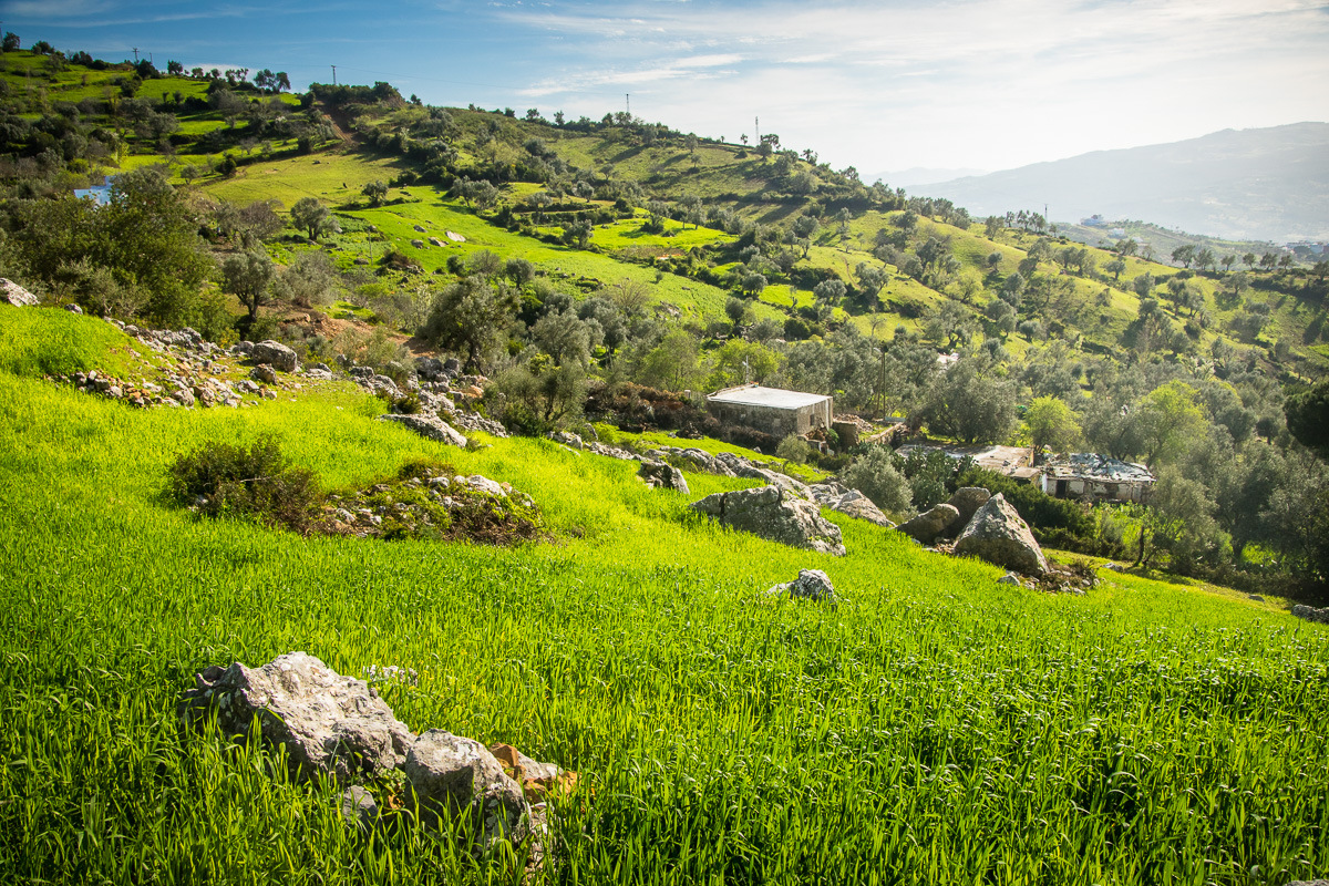 Green Rif mountains