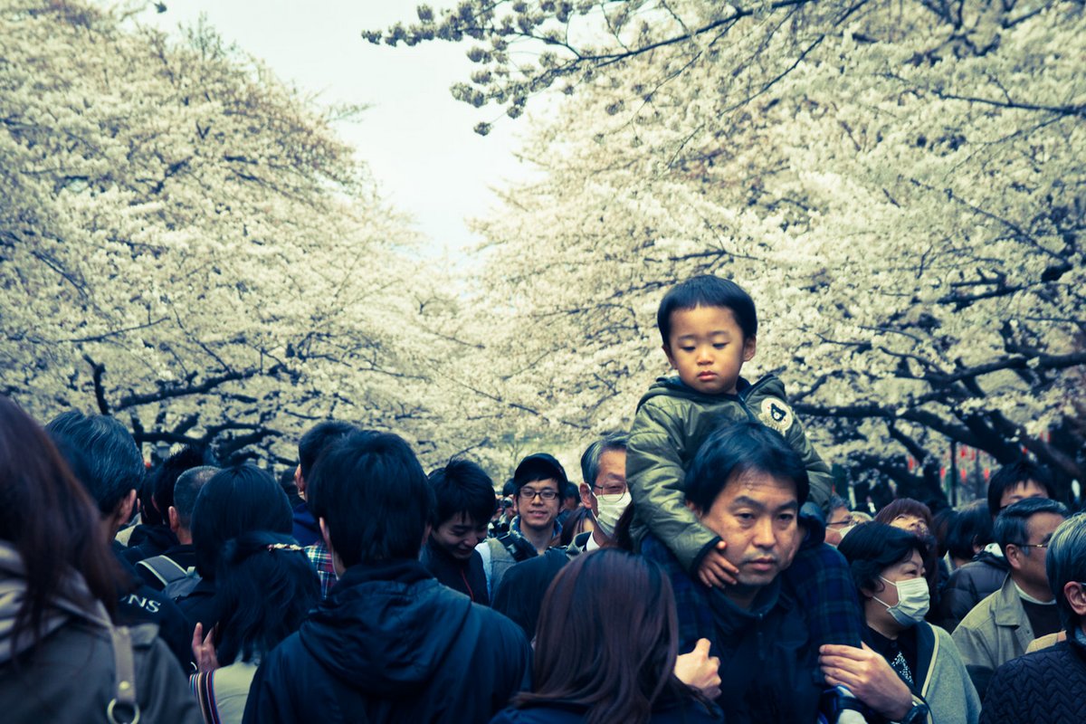 NippoNN-139