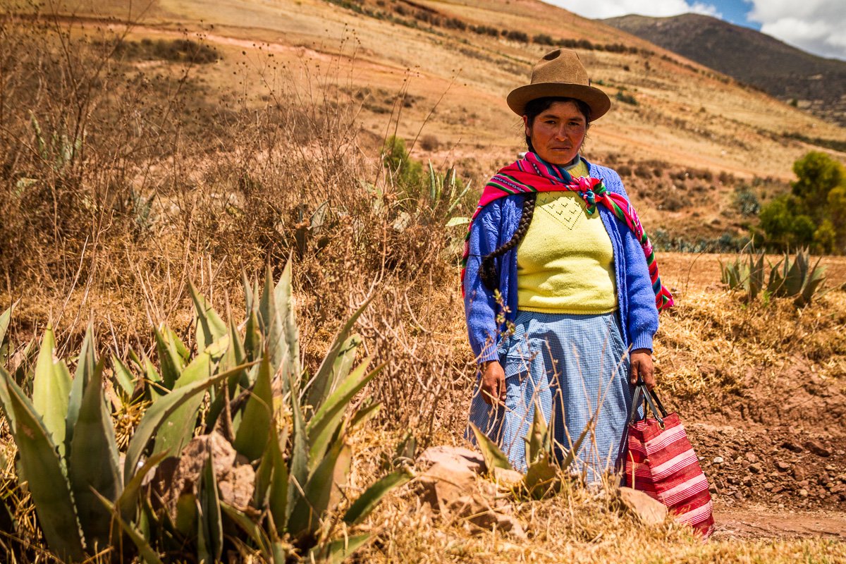 Peruvian woman shopping portrait