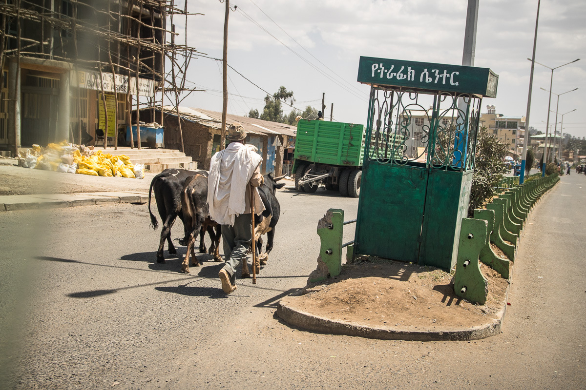 Simien-173
