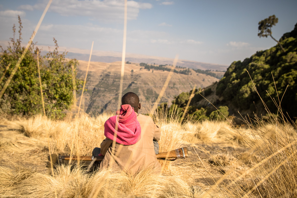 Simien-24