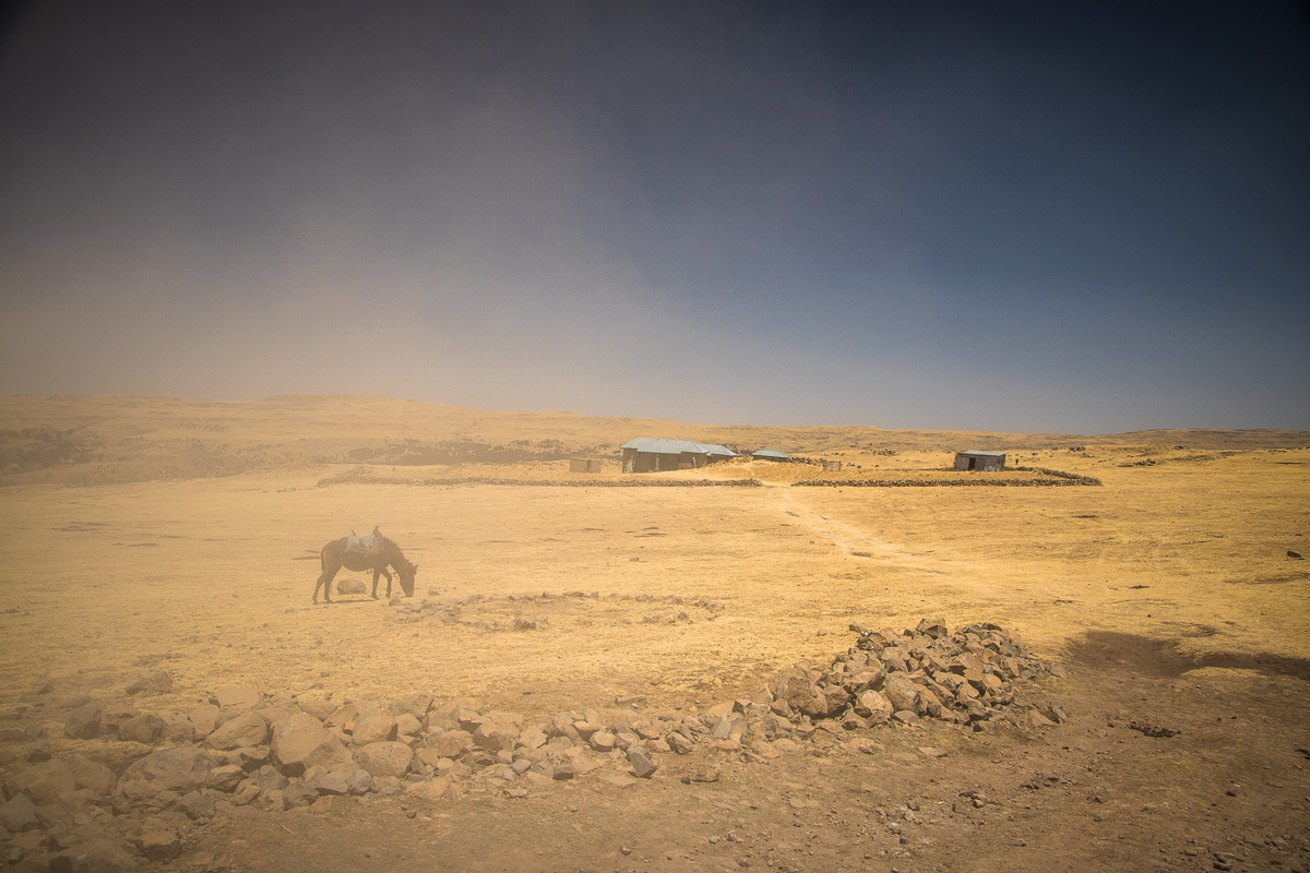 Simien-73